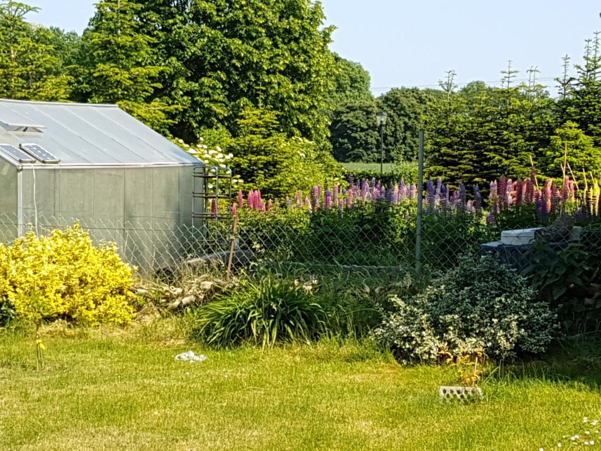 Ferienwohnung Storchenhof Niepars エクステリア 写真